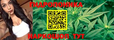 СК Апрелевка