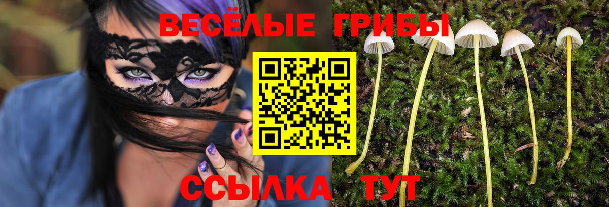 Псилоцибиновые грибы мухоморы  Вход с VPN  Псилоцибиновые грибы Psilocybe  Аша 